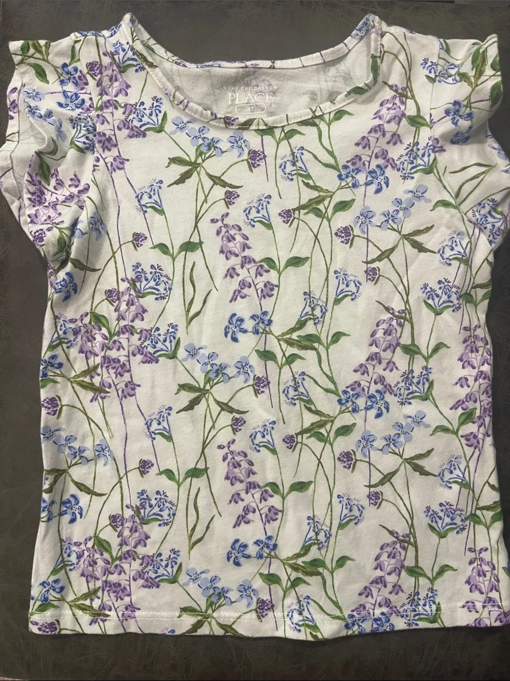 Bundle of Two The Children's Place T Shirts